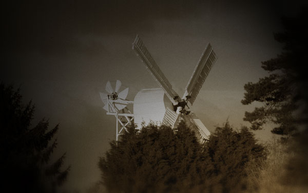 Quixote De La Wimbledon - click for previous