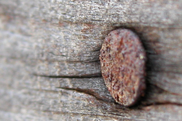Hammered - click for previous