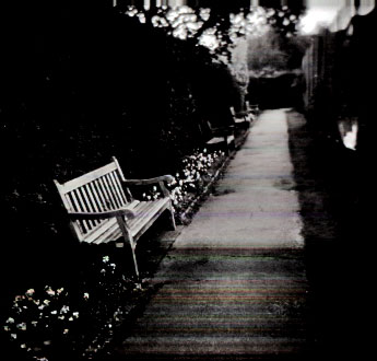Rainbow Lane - click for previous