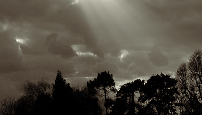 Rays - click for previous