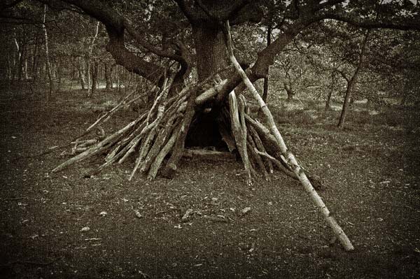 Tree Hut - click for previous