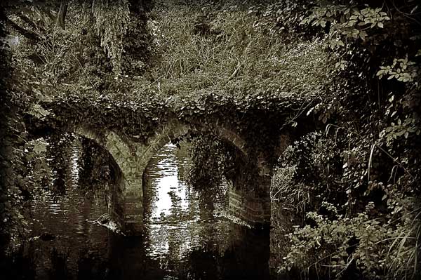 Arches - click for previous