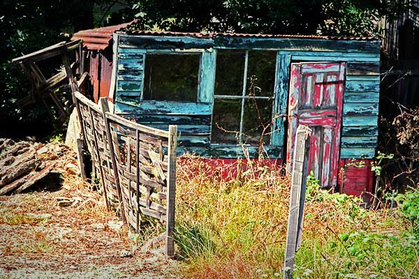 Shed From A Death Bed - click for previous
