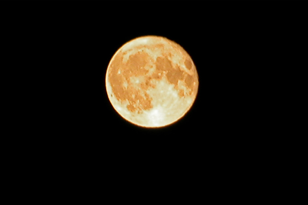 Cosmos Moon - click for previous