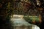 White Bridge
