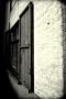 Shutter